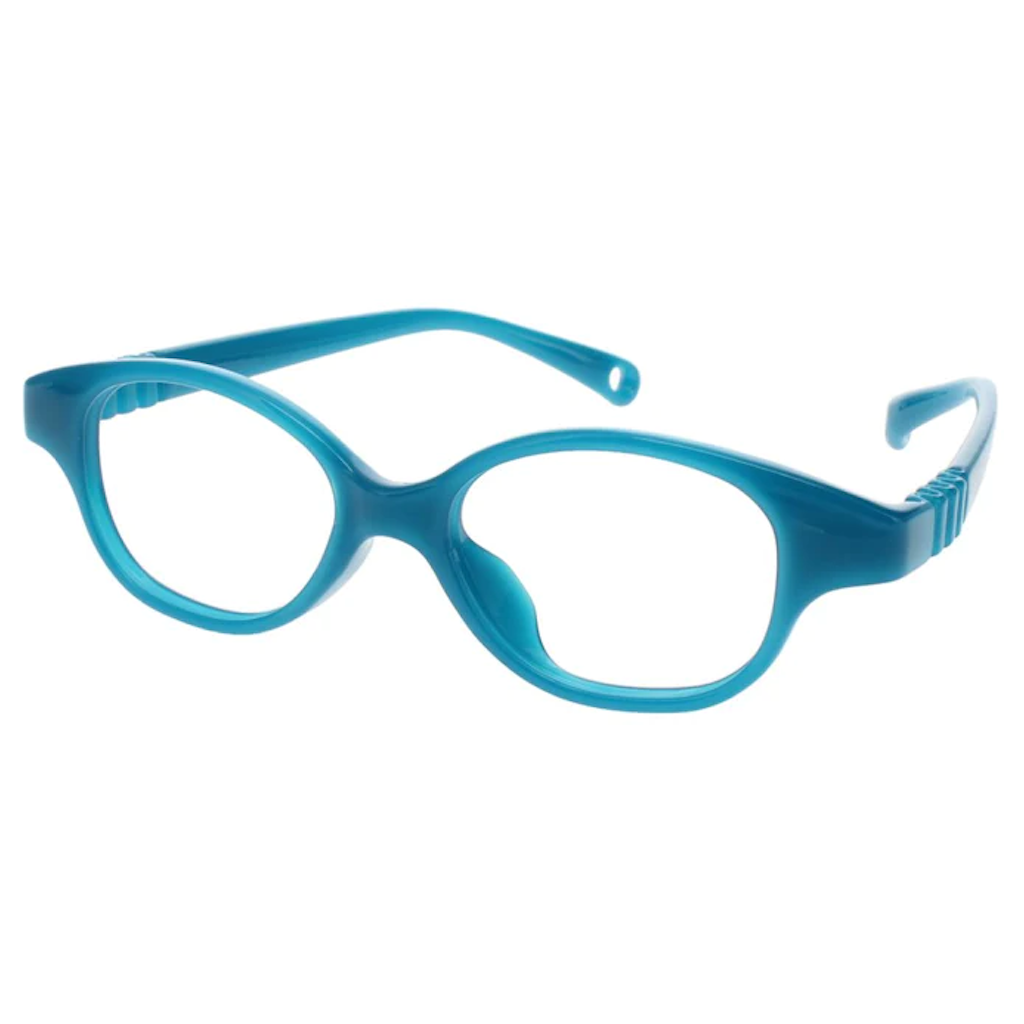 Dilli Dalli Buddy - TEAL TRANSPARENT
