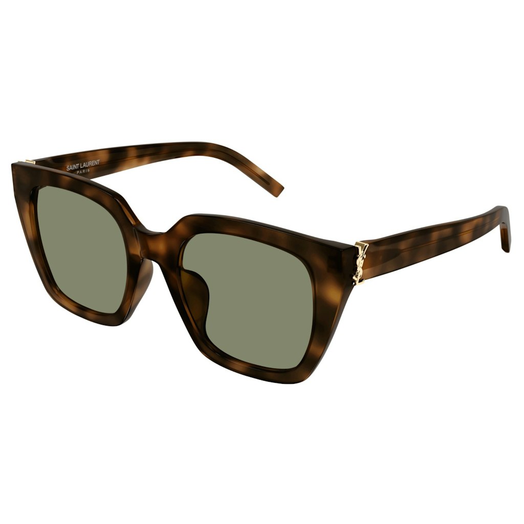 Saint Laurent SL M143/F - HAVANA